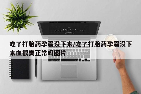 网上米索前列醇在线下单吃了打胎药孕囊没下来/吃了打胎药孕囊没下来血很臭正常吗图片